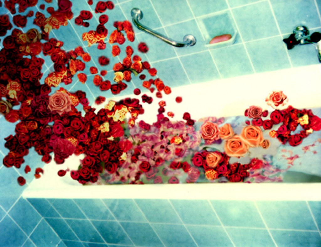 Die Rosenlast stürzt lautlos von den Wänden, Grossdia in Leuchtkasten, 98 x 127 cm, 1997/98